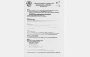 69f18b6a31fea_reglementcoupedistrictfminine2026.jpg
